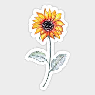 Sunflower Sticker